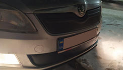 Skoda Fabia 2007-2014 Winter grille cover (2011-2014, upper) Glossy photo 3