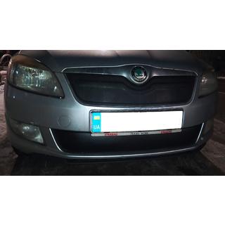 Winter grille cover (2011-2014, upper) photo 2