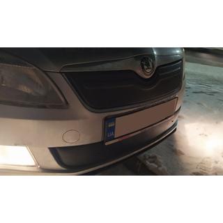 Winter grille cover (2011-2014, upper) photo 3