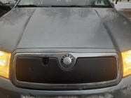 Skoda Fabia 2000-2007 Winter cover for grille photo 2