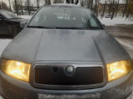 Skoda Fabia 2000-2007 Winter cover for grille photo 1