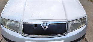 Skoda Fabia 2000-2007 Winter cover for grille photo 4
