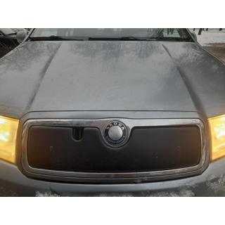 Winter cover for grille Skoda Fabia 2000-2007 photo 2