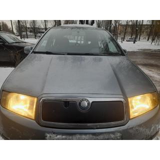Winter cover for grille