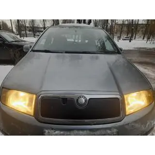 Winter cover for grille