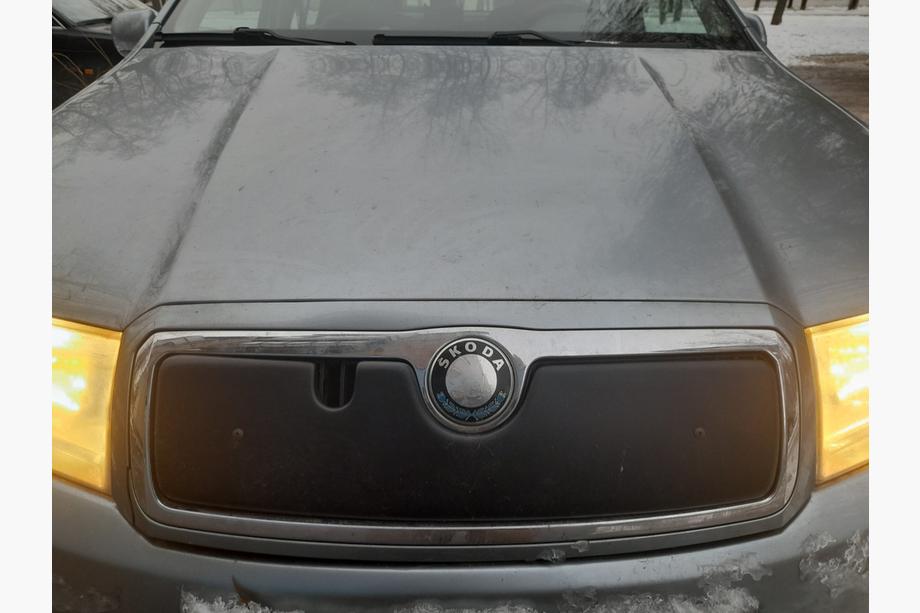 Skoda Fabia 2000-2007 Winter cover for grille Glossy Photo 2