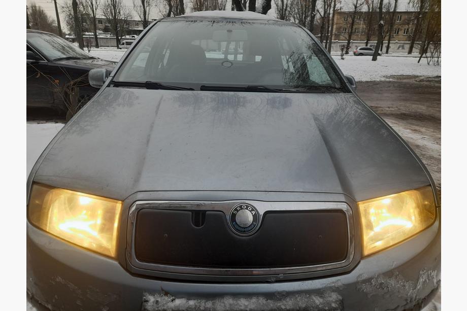 Skoda Fabia 2000-2007 Winter cover for grille Image