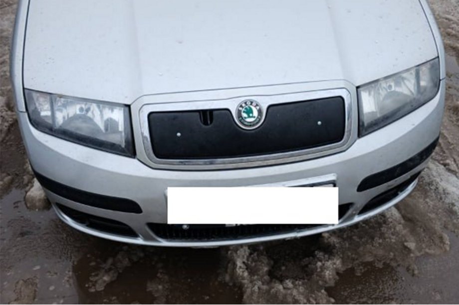 Skoda Fabia 2000-2007 Winter cover for grille Glossy Photo 3