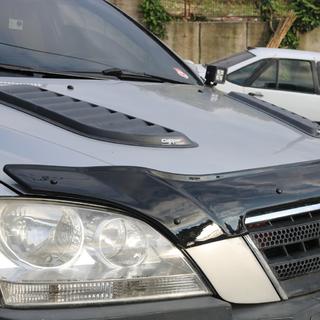 Hood Deflector (EuroCap) photo 4