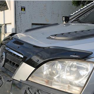 Hood Deflector (EuroCap) photo 3