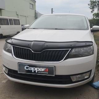 Hood Deflector (EuroCap) photo 1