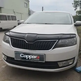 Hood Deflector (EuroCap) photo 1