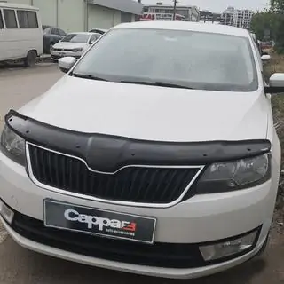 Hood Deflector (EuroCap) photo 3