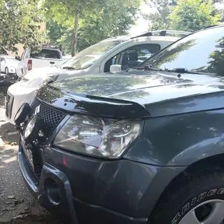 Hood Deflector (EuroCap) photo 4