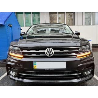 Hood Deflector (EuroCap) photo 3
