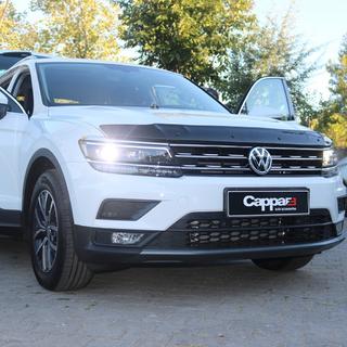 Hood Deflector (EuroCap) photo 4