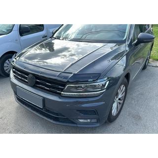 Hood Deflector (EuroCap) photo 2
