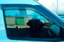 Fiat Doblo II 2010-2022 Window Deflectors (2 pcs, HIC) photo 9