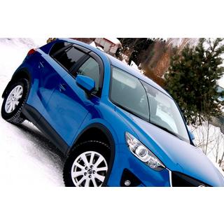 Window Deflectors (4 pcs, HIC) photo 1