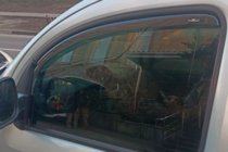 Renault Kangoo 2008–2020 In-channel window deflectors (2 pcs, HIC) photo 9
