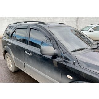 Window Deflectors (4 pcs, HIC) photo 1