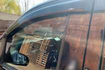 Mercedes Vito/V-class W447 2014- Window Deflectors (2 pcs, HIC) photo 11