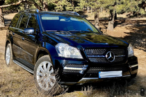 Mercedes GL class X164 2006-2012 Front grille Diamond (2006-2009) photo 4