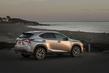 The premium compact crossover Lexus NX photo 9