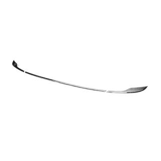 Chrome Tail Light Trim (for Sedan) photo 1