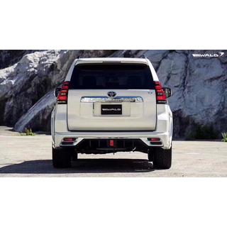 Body Kit 2016↗ (Wald) photo 4