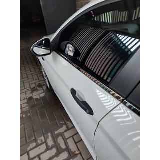 Lower window trims dark chrome stainless steel photo 3