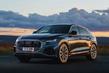 Overview all-wheel-drive premium crossover Audi Q8 photo 14