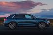 Overview all-wheel-drive premium crossover Audi Q8 photo 10