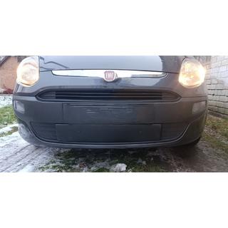 Winter grille (EVO, Punto)