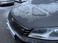 Volkswagen Passat B7 2012-2015 Winter grille (EU/USA) photo 4