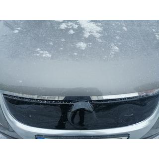 Winter grille (upper, 2006-2010) photo 2