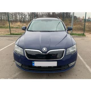 Winter grille cover (Upper, 2013-2015) photo 1