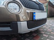 Skoda Yeti 2009-2017 Winter grille cover (lower, 2009-2013) Matte photo 3