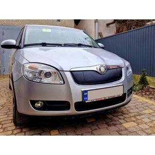 Winter grille cover (2007-2010, upper) photo 2