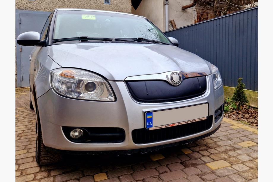 Skoda Roomster 2006-2015 Winter grille cover (2007-2010, upper) Matte Photo 2