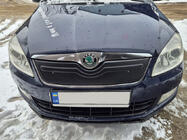 Skoda Roomster 2006-2015 Winter grille cover (2010+, upper) photo 3