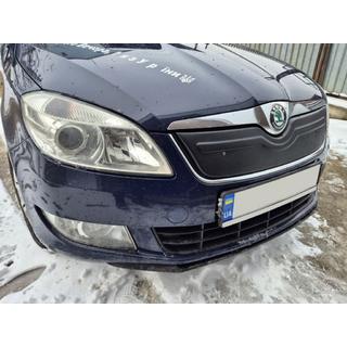 Winter grille cover (2010+, upper) photo 1