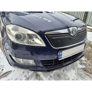 Winter grille cover (2010+, upper)