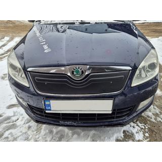 Winter grille cover (2010+, upper) photo 3