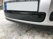 Skoda Fabia 2007-2014 Winter grille cover (2007-2010, lower) Glossy photo 3