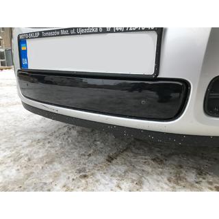 Winter grille cover (2007-2010, lower) photo 3