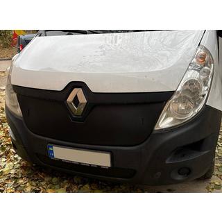 Winter grille (2014-2019, upper) photo 3