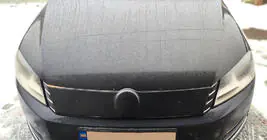 Volkswagen Passat B5 1997-2005 Winter grille (2001-2005) photo 1