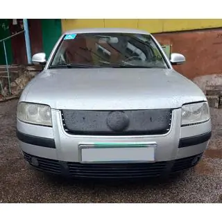 Winter grille (2001-2005) photo 2