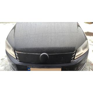 Winter grille (2001-2005)